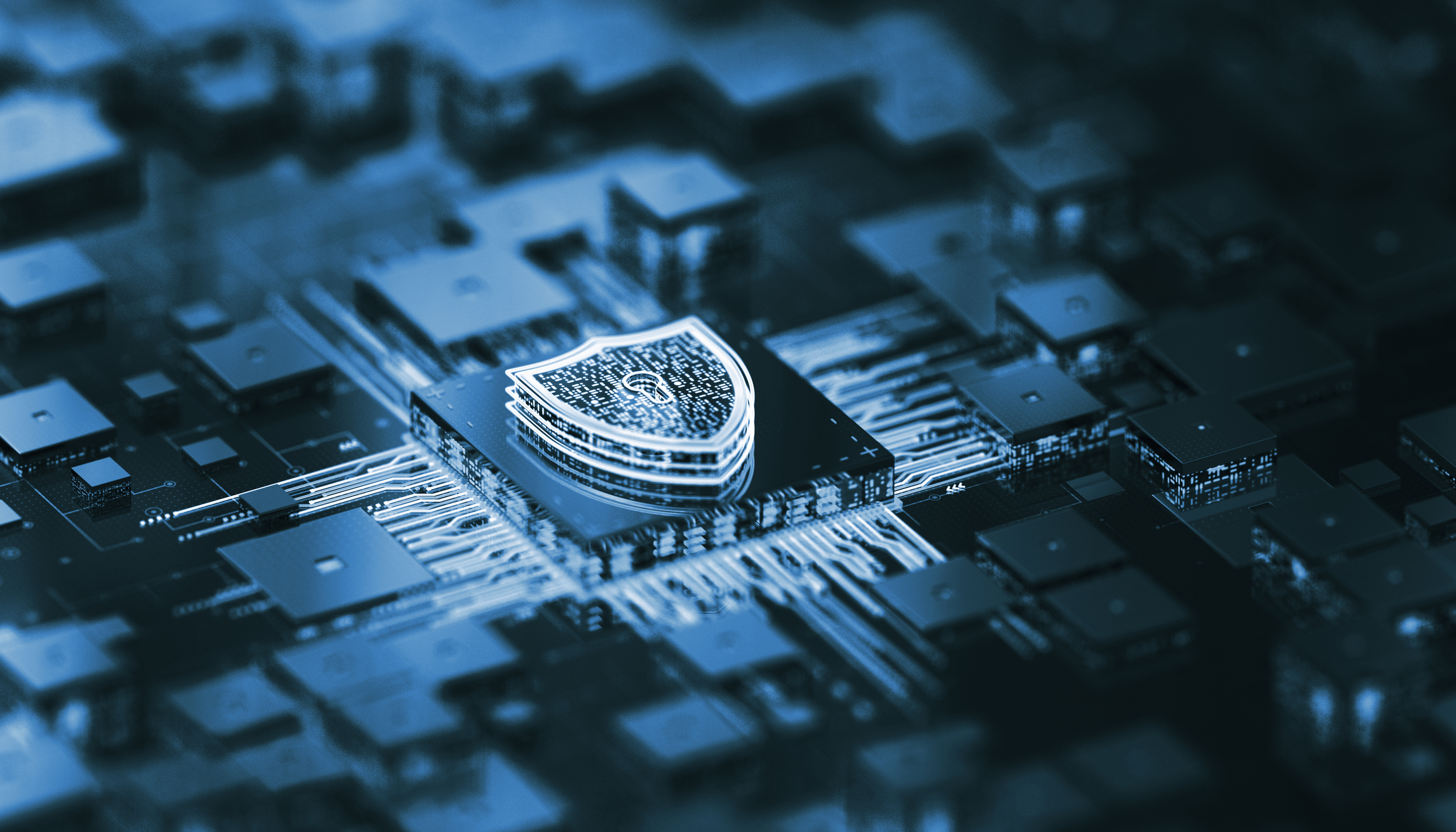 A shield representing network security